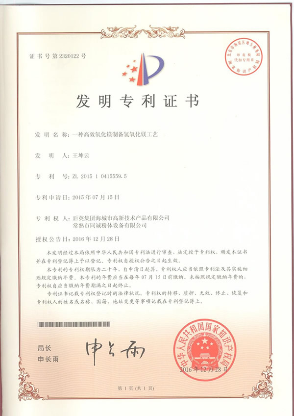 氧化鎂消化系統發明專利